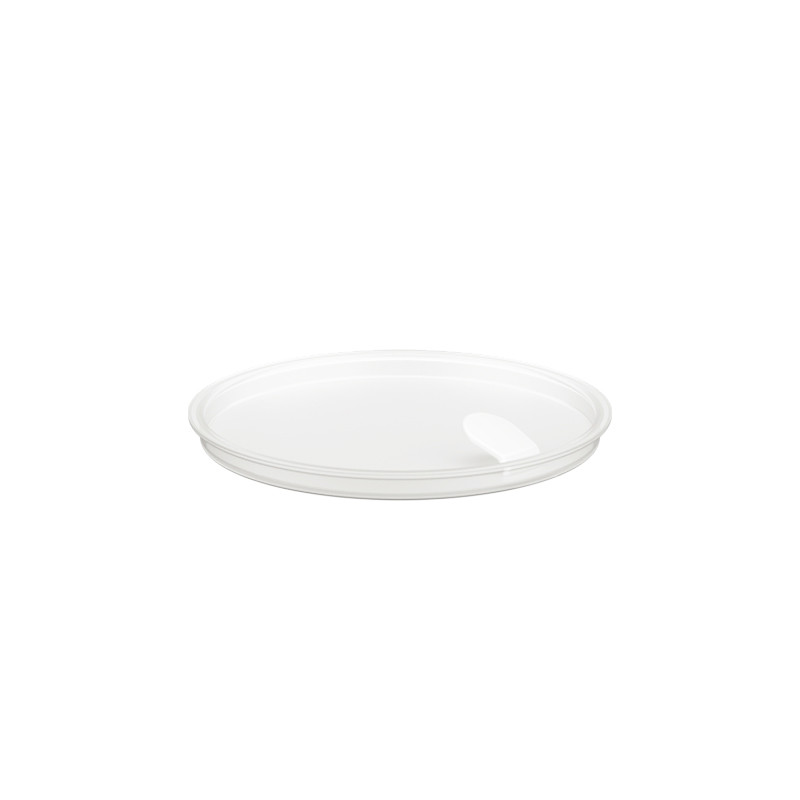 Piattina